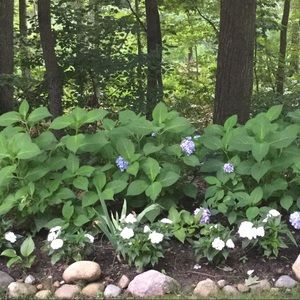 Meet your Posher, Molly